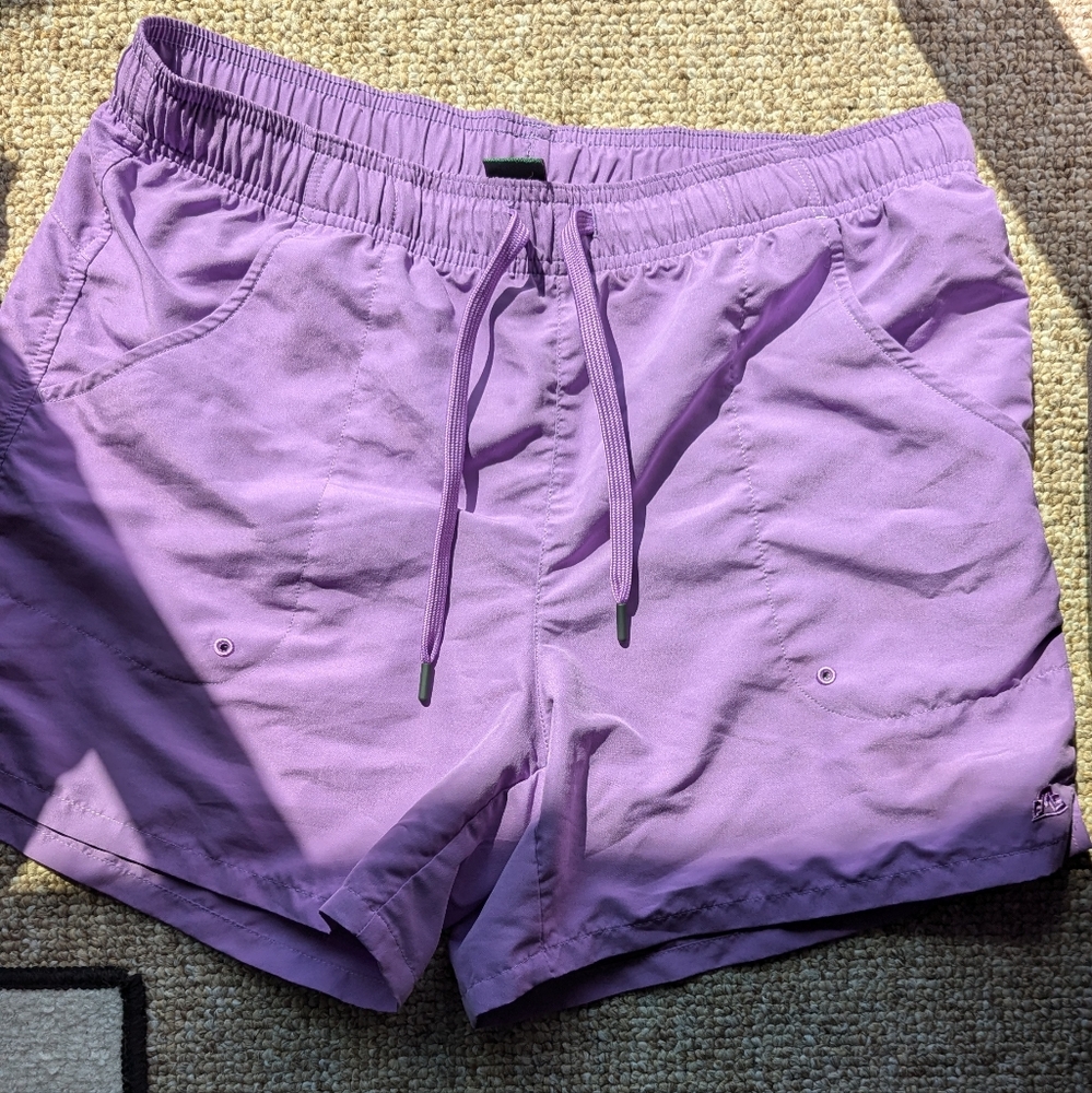 Eastern Mountain Sports shorts